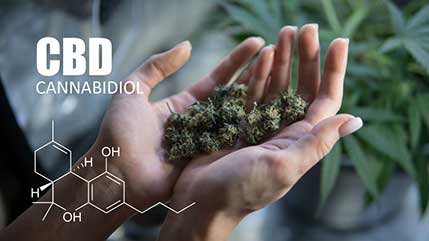 Legal CBD