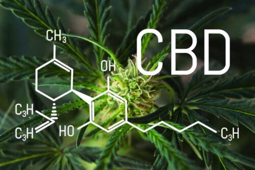 CBD
