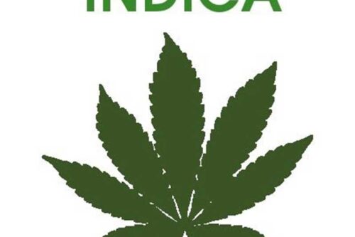 Indica