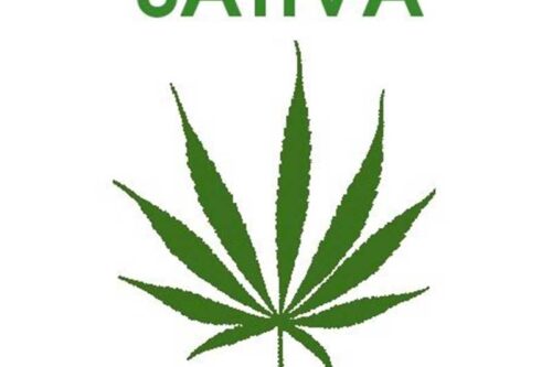Sativa
