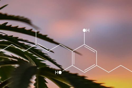 Was ist Cannabigerol (CBG)?