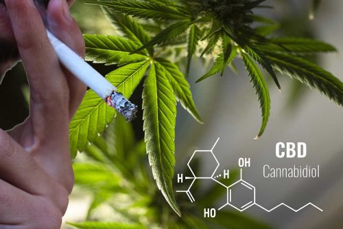 CBD könnte Tabakrauchern helfen, mit dem Rauchen aufzuhören, so eine Studie