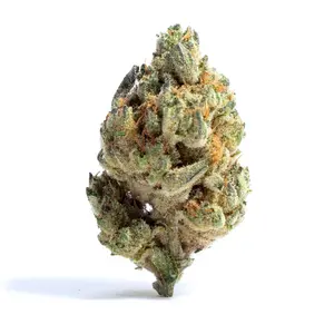 303 Og
