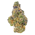 4G