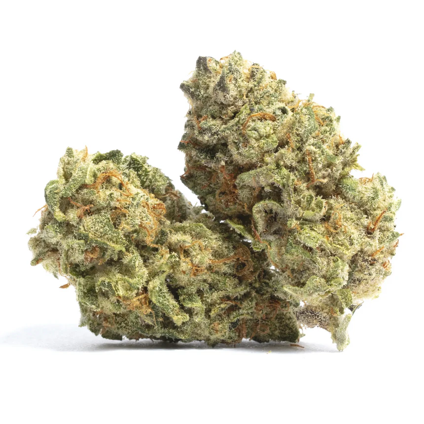 Afghan Skunk