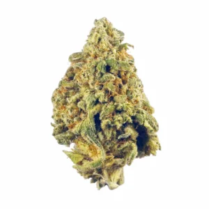 Afghanica