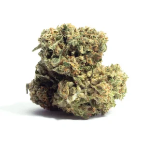 Alien Dawg