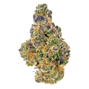 Alien Fire