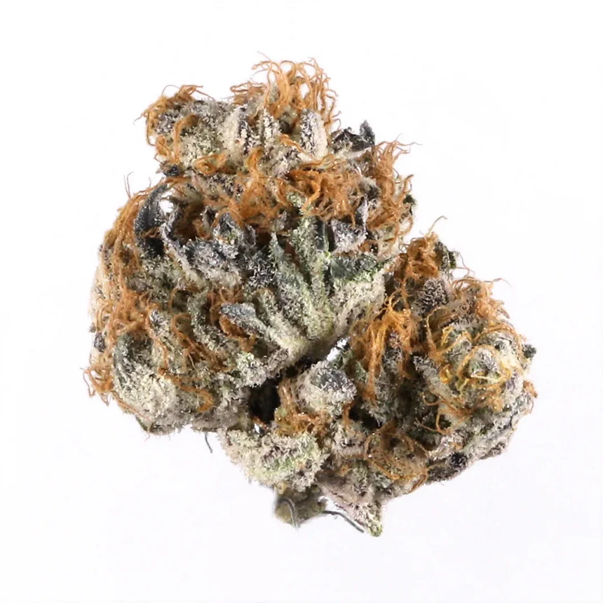 Alien Gelato