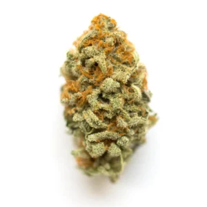 Alien Orange Gum