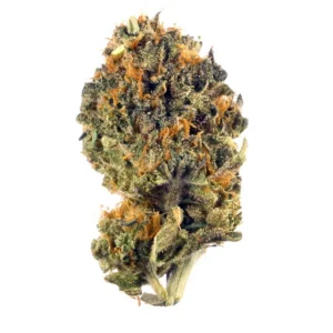 Alien Stardawg