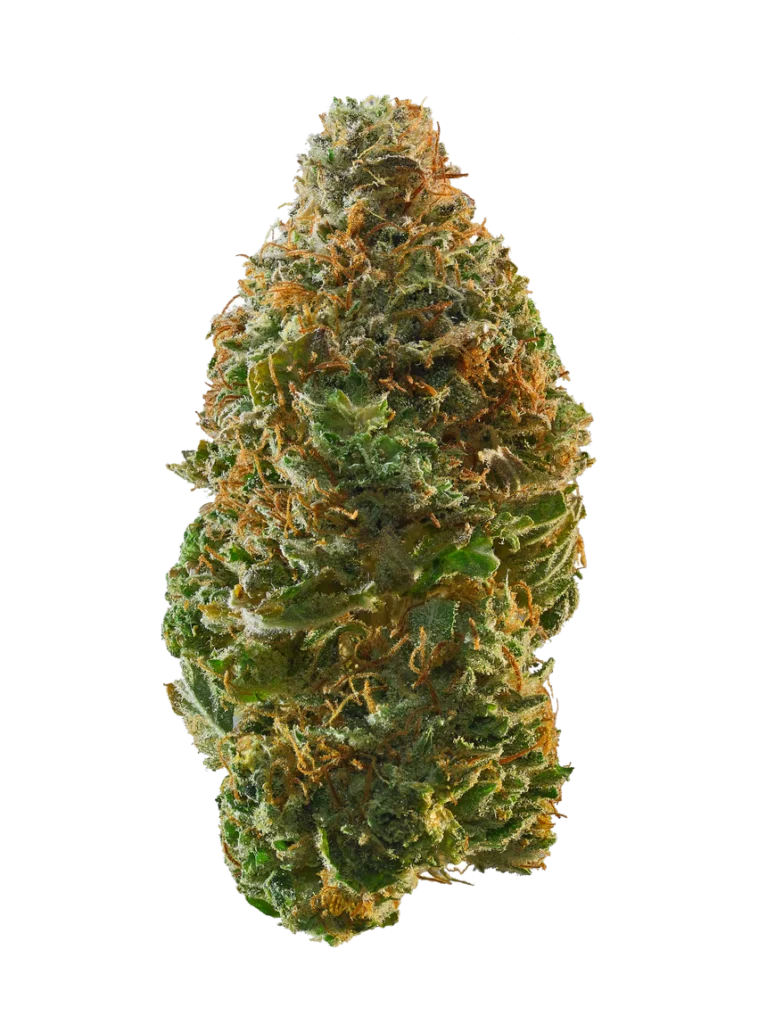 Apollo Haze