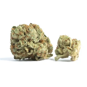 Apple Gelato