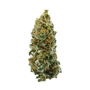 Arjan'S Strawberry Haze