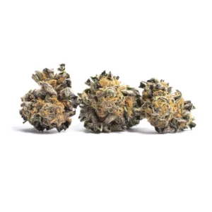 Ayahuasca Purple