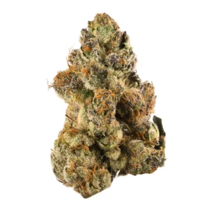 Bakers Delight