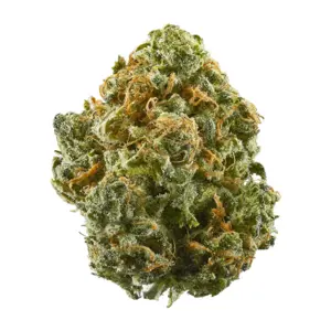 Blue Truffle