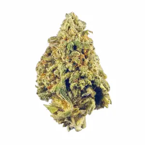 Conspiracy Kush