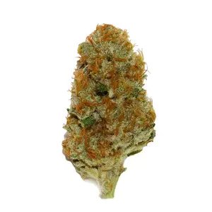 Cream Caramel