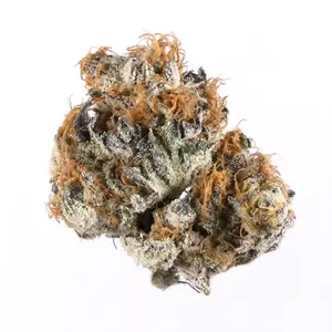 Fire Alien Urkle