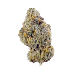Garlic Bud