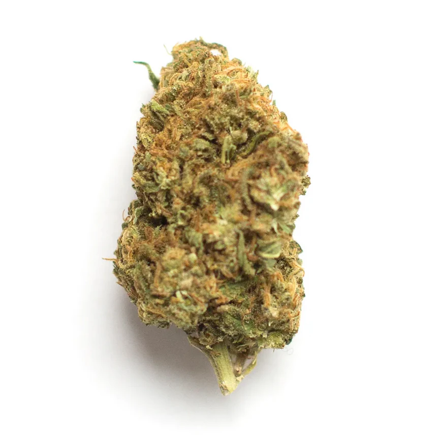 Grapefruit
