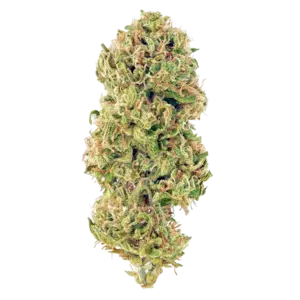 Huckleberry