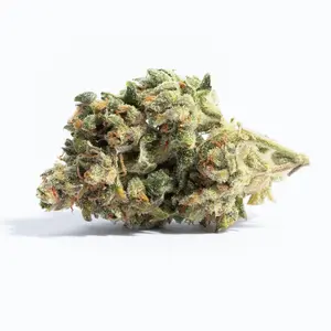 Mango Sherbert