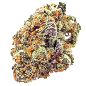 Mimosa
