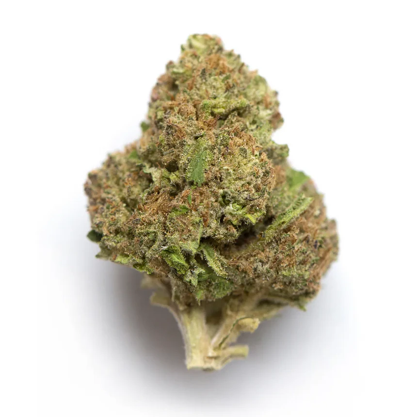 Mint Chocolate Chip