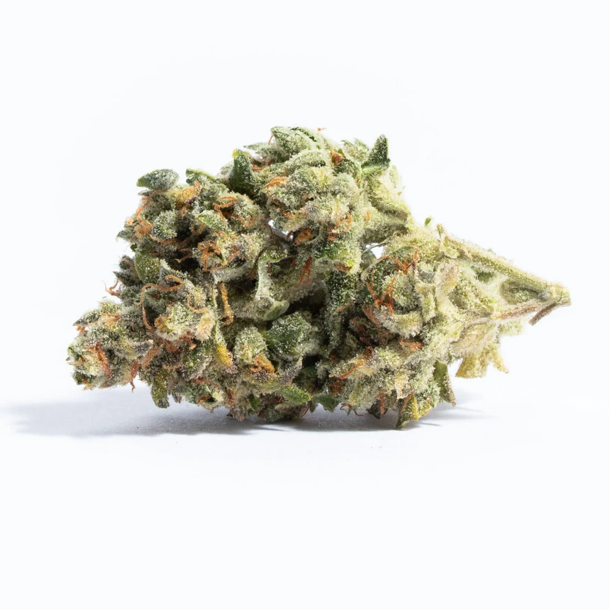 Mothers Finest
