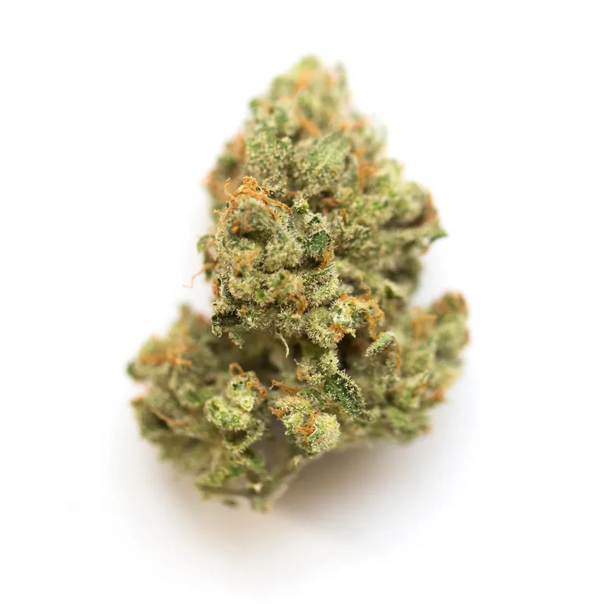 Og Critical