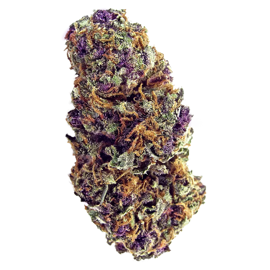Purple Palm Tree Delight