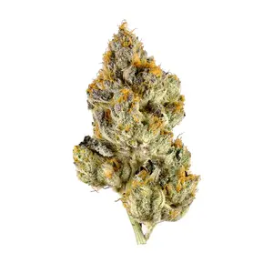 Rocky Mountain High