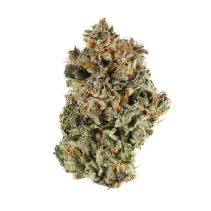 Sunset Sherbert
