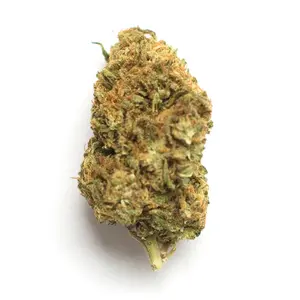 Supernatural