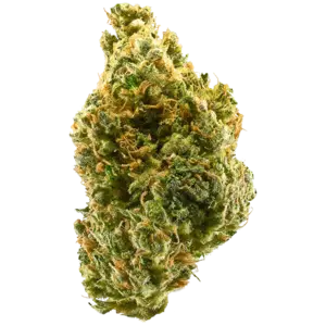 Tangie